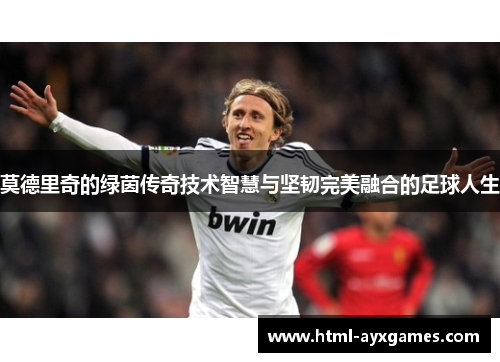 莫德里奇的绿茵传奇技术智慧与坚韧完美融合的足球人生 莫德里奇的绿茵传奇技术智慧与坚韧完美融合的足球人生