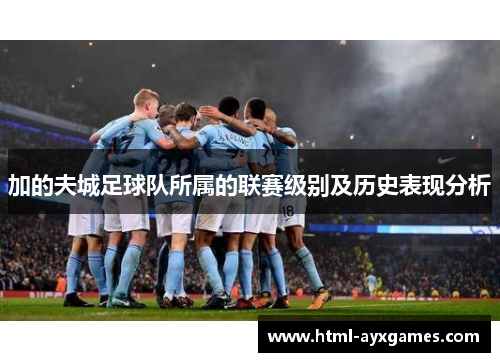 加的夫城足球队所属的联赛级别及历史表现分析