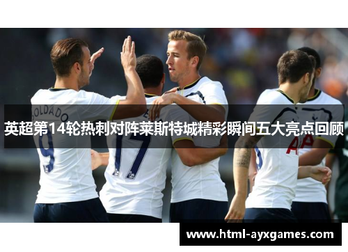 英超第14轮热刺对阵莱斯特城精彩瞬间五大亮点回顾