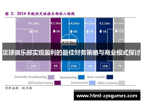 足球俱乐部实现盈利的最佳财务策略与商业模式探讨 足球俱乐部实现盈利的最佳财务策略与商业模式探讨