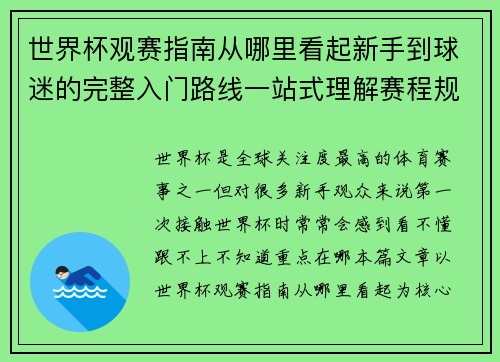 世界杯观赛指南从哪里看起新手到球迷的完整入门路线一站式理解赛程规则看点